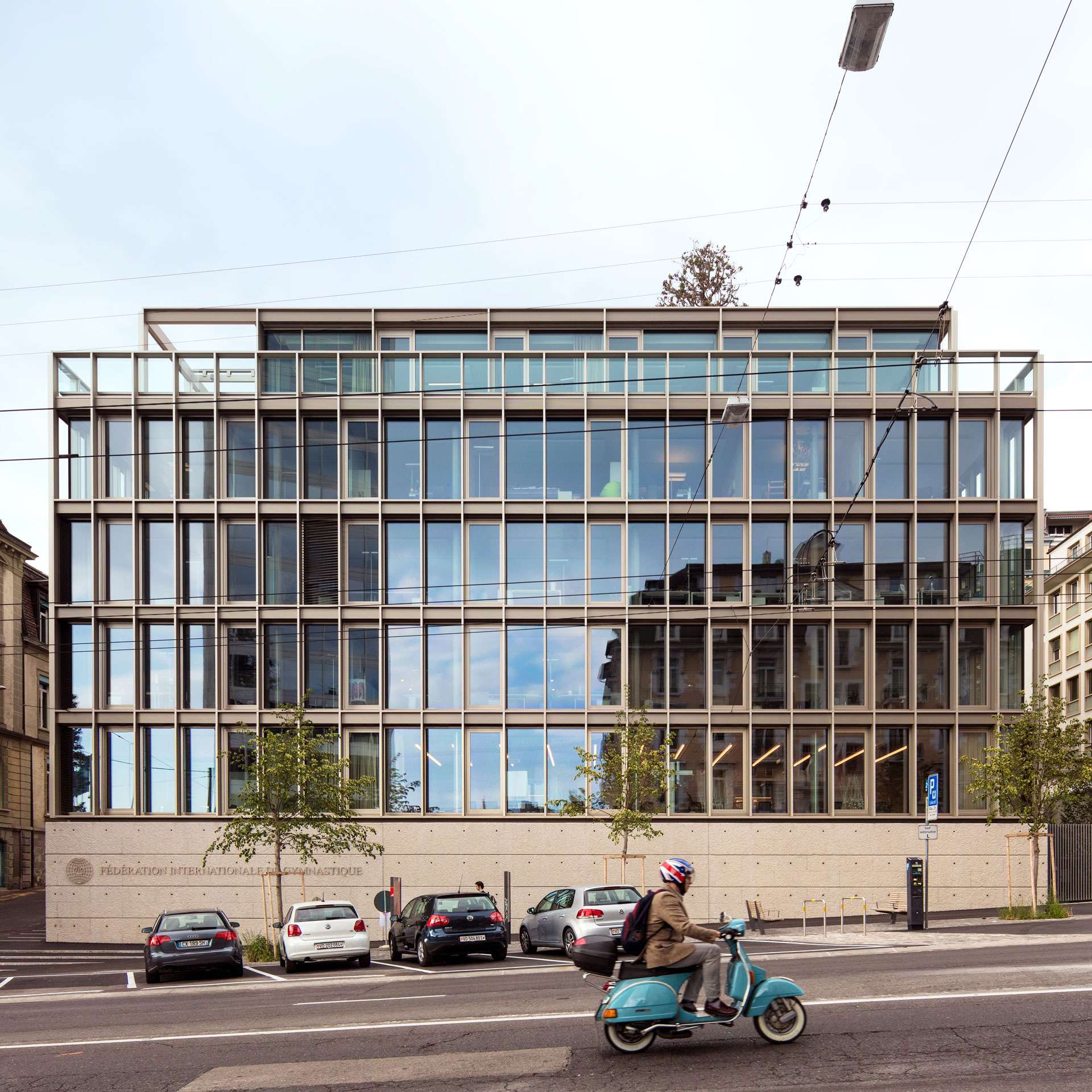 découvrez le rôle clé de la fédération internationale de gymnastique dans la promotion, l'organisation et le développement de la gymnastique à travers le monde.