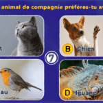 Que révèle le test animal totem francelecture.net sur votre personnalité