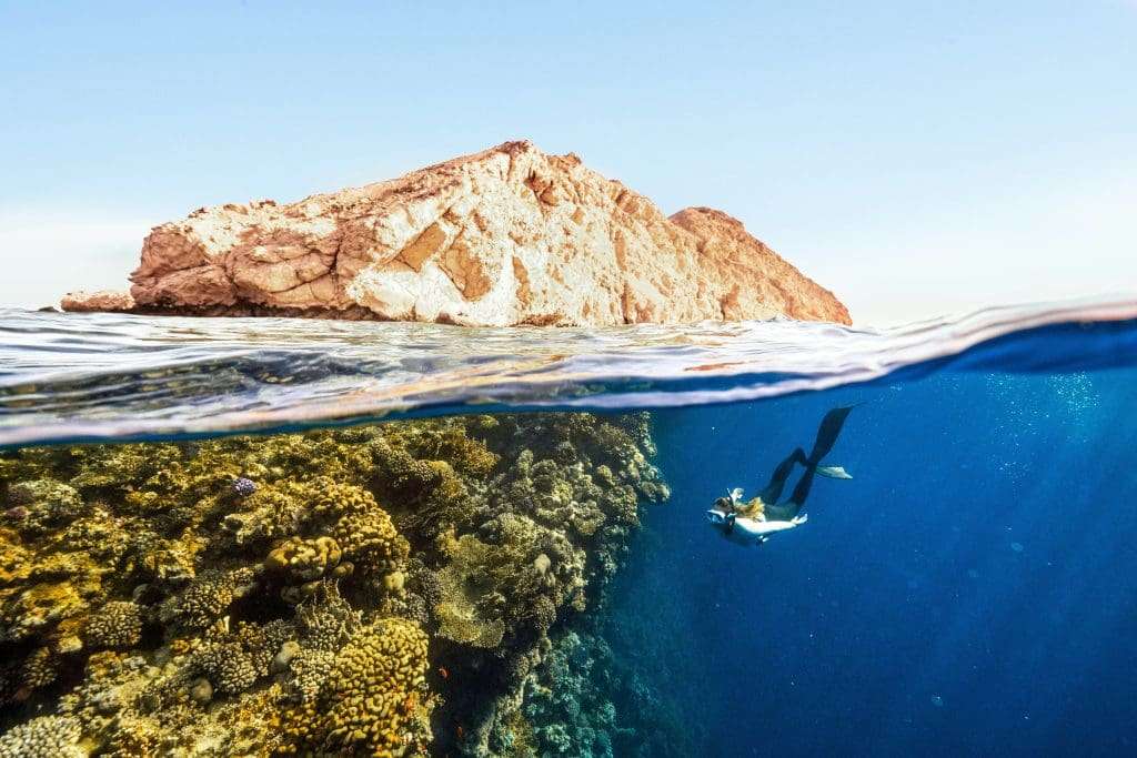 découvrez comment réussir le test bronco avec nos conseils pratiques et stratégies efficaces pour maximiser vos performances.