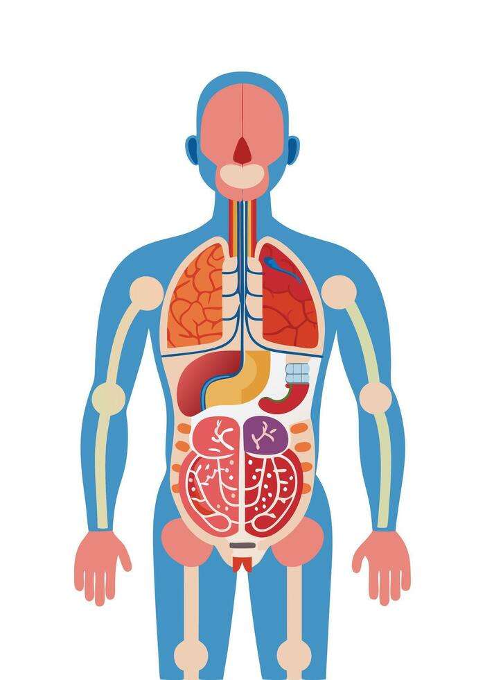 découvrez nos soins du corps naturels et efficaces pour une peau douce, hydratée et éclatante de santé.