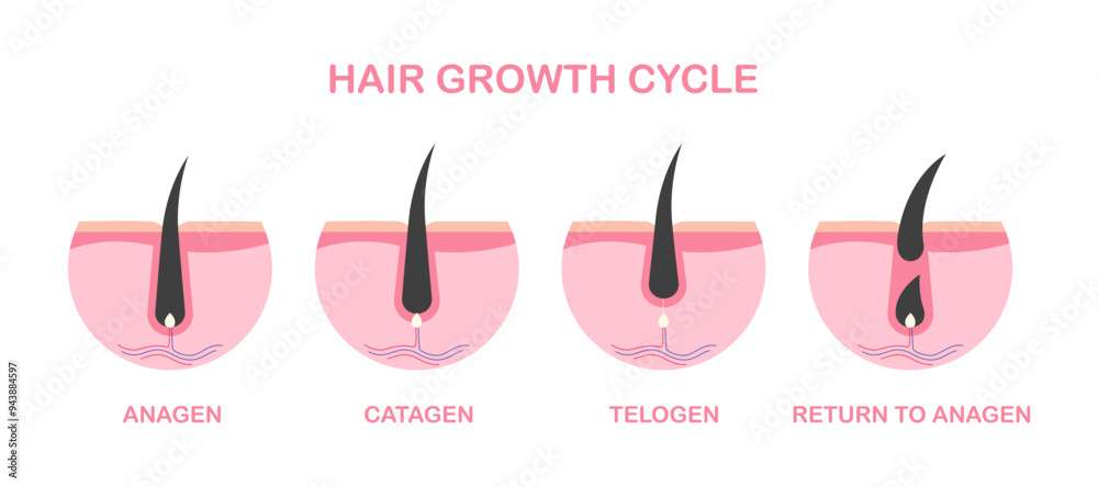 découvrez comment réussir la transition de votre cheveux pour favoriser une croissance saine et naturelle. conseils, astuces et soins adaptés pour des cheveux forts et éclatants.