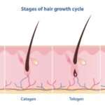 Laisser pousser ses cheveux courts vers une coupe longue : guide de transition pour femmes