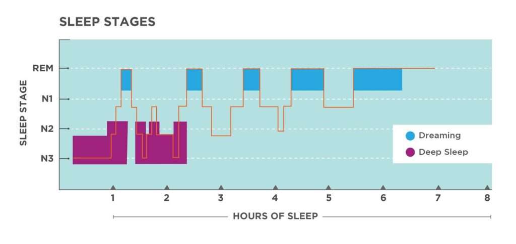 découvrez sleep simulator, une expérience immersive qui vous plonge dans le monde du sommeil. explorez différentes phases du sommeil et apprenez à optimiser votre repos.