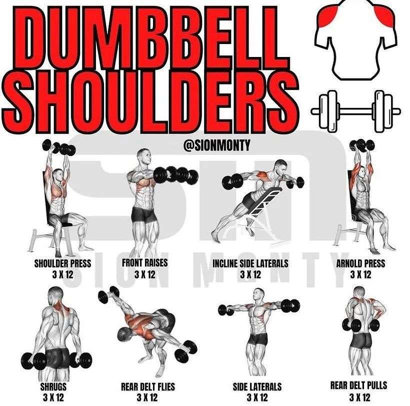 découvrez les meilleurs exercices d'épaules avec haltères pour renforcer et sculpter vos muscles, adaptés à tous les niveaux.