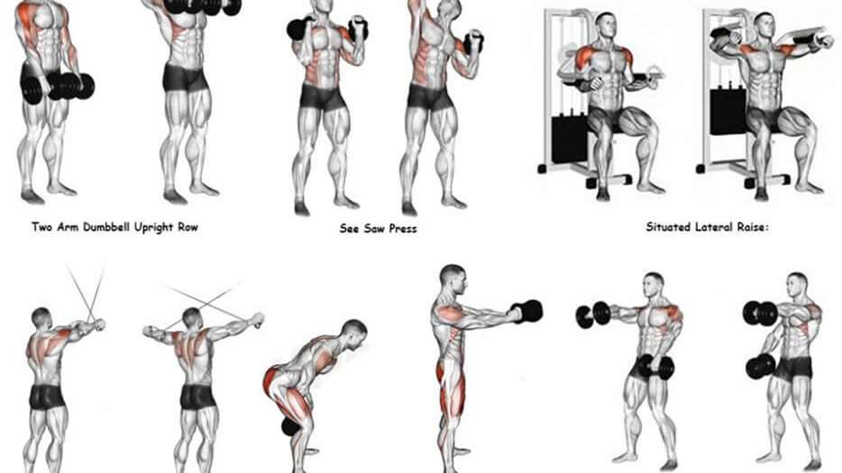 découvrez les meilleurs exercices d'épaule avec haltères pour renforcer et sculpter vos muscles facilement à la maison ou à la salle de sport.