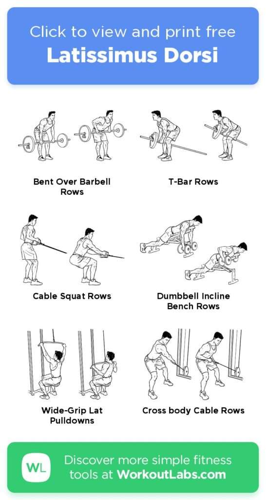 découvrez les meilleurs exercices pour renforcer et tonifier le muscle latissimus dorsi, améliorer votre posture et augmenter votre force dorsale.