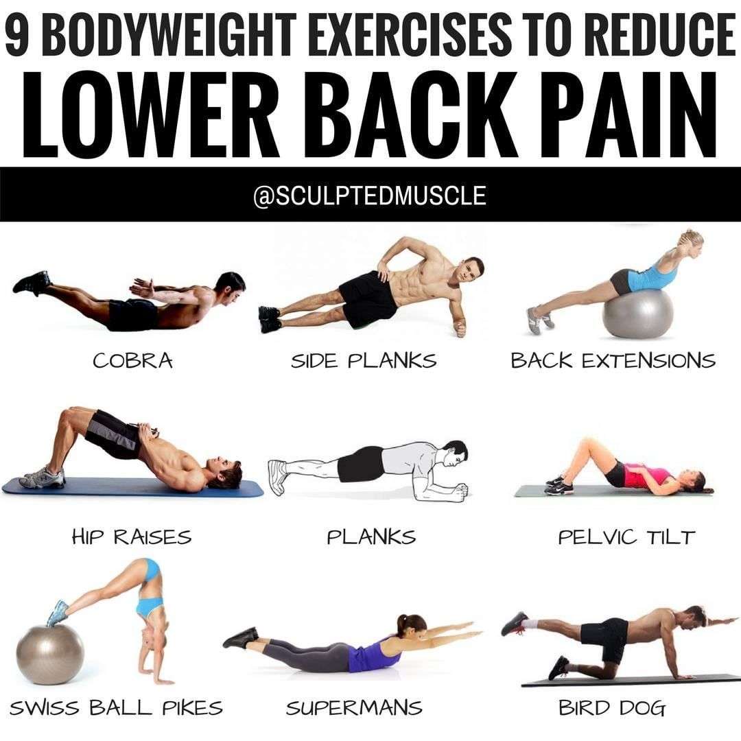 découvrez des exercices efficaces pour renforcer et soulager le bas du dos, améliorer la posture et prévenir les douleurs lombaires au quotidien.