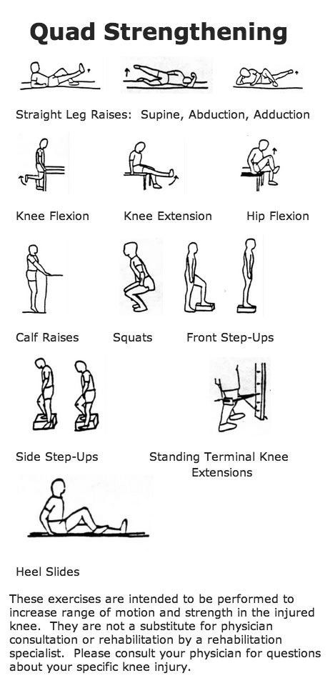 renforcez vos quadriceps grâce à des exercices ciblés pour améliorer la puissance, la stabilité et prévenir les blessures.