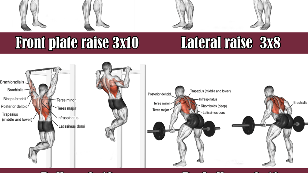 entraînement des épaules : exercices efficaces pour renforcer et tonifier vos deltoïdes. conseils pour un développement musculaire optimal et prévenir les blessures.