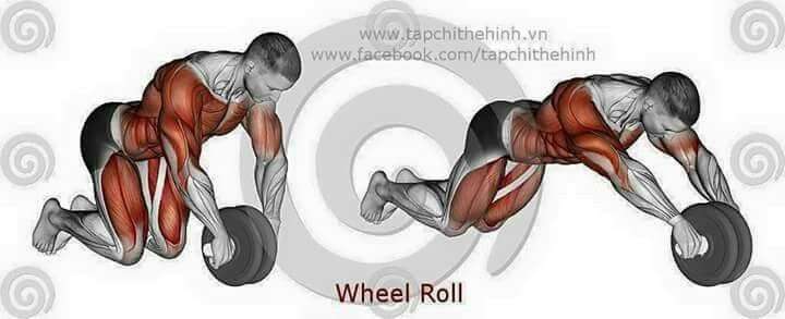 découvrez comment transformer votre corps avec l'ab wheel : exercices efficaces pour renforcer vos abdominaux et sculpter votre silhouette.