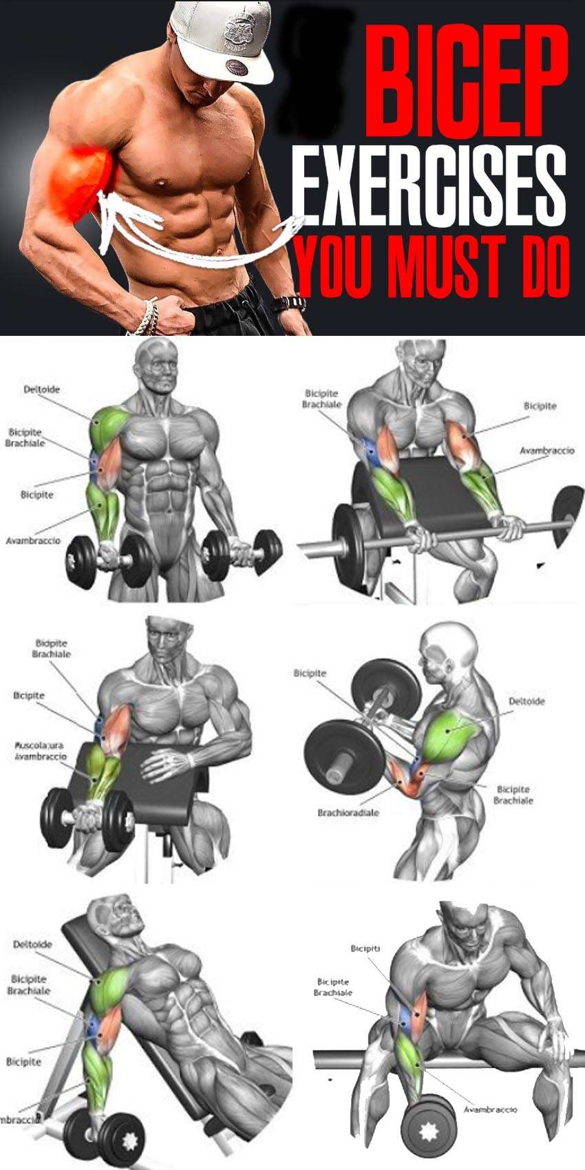 découvrez les meilleurs exercices pour muscler vos biceps, améliorer votre force et sculpter vos bras efficacement à la maison ou en salle de sport.