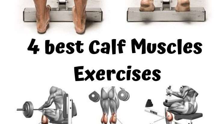 découvrez nos méthodes efficaces pour l'entraînement des mollets et développez la force et la définition de vos jambes.