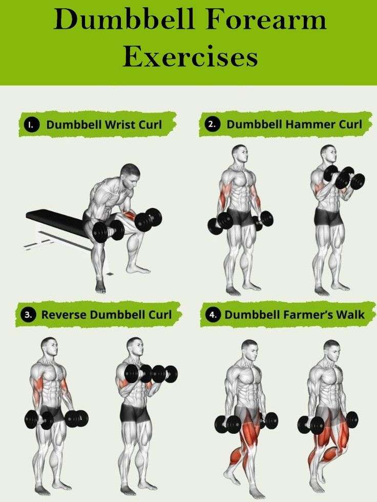 découvrez des exercices efficaces avec haltères pour renforcer vos avant-bras, améliorer la prise en main et sculpturer vos muscles en profondeur.