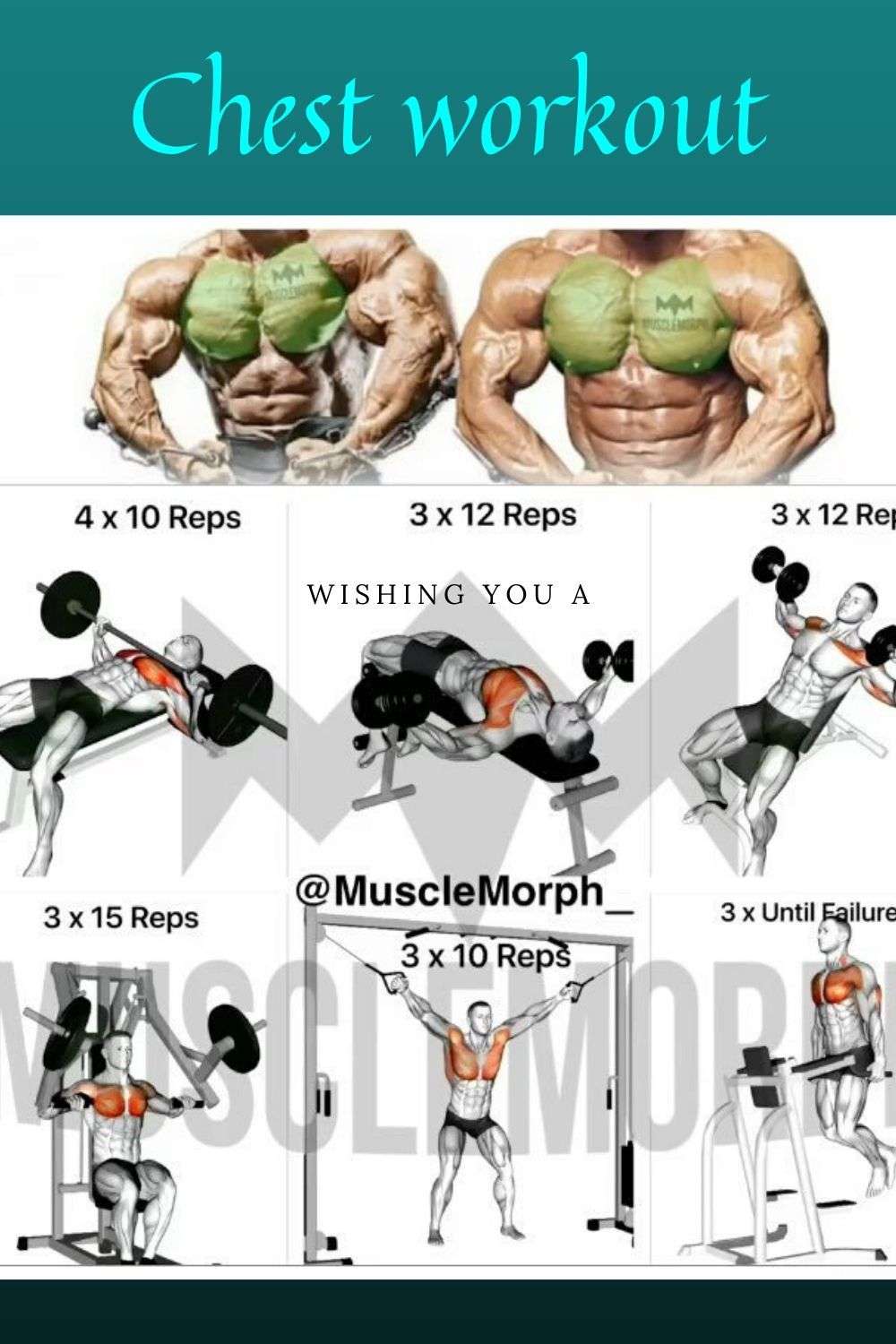 découvrez des exercices efficaces pour un entraînement complet de la poitrine, adapté à tous les niveaux, pour développer votre force et votre musculature.