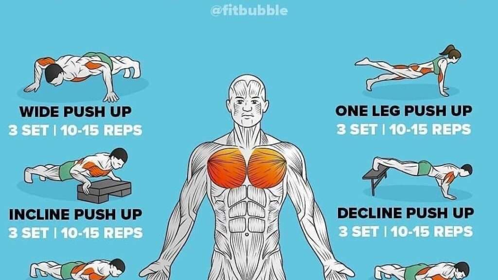 entraînement complet pour la poitrine : exercices ciblés pour renforcer et développer vos muscles pectoraux efficacement.