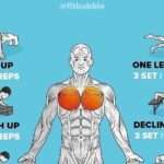 Comment muscler efficacement votre torse pour un physique masculin