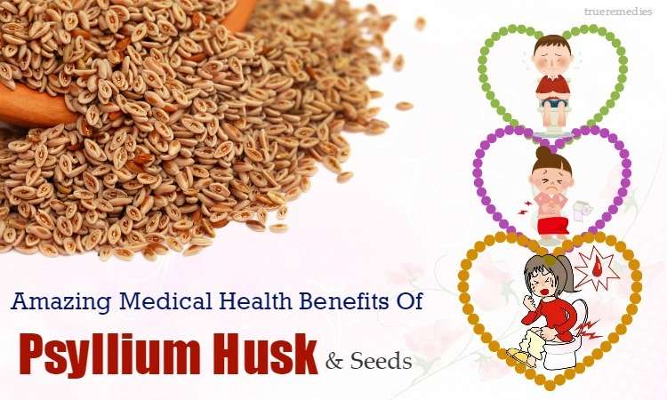 découvrez les bienfaits du psyllium pour les cheveux : renforcement, hydratation et stimulation de la croissance naturelle.